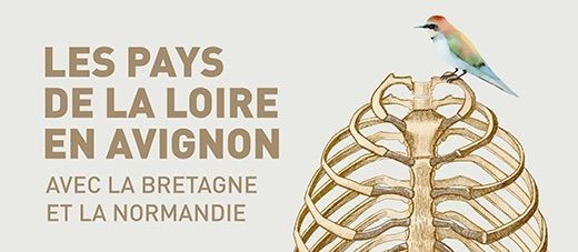 Visuel de communication  : Les Pays de la Loire en Avignon avec la Bretagne et la Normandie