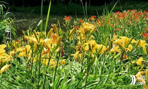 Parc Floral de la Court d'Aron